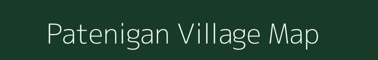 Patenigan village map in Odisha