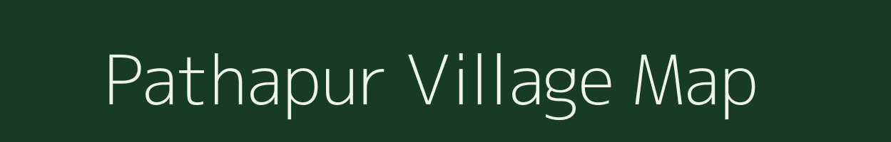 Pathapur village map in Odisha