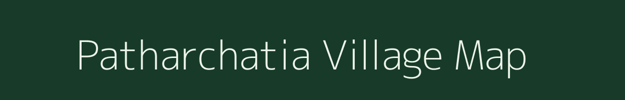 Patharchatia village map in Odisha