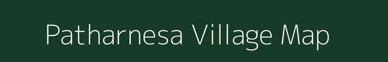 Patharnesa village map in Odisha