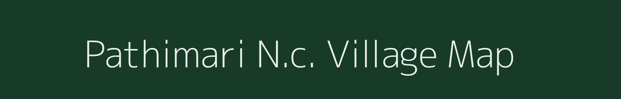 Pathimari N.c. village map in Assam