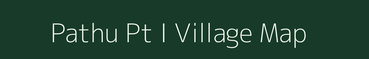 Pathu Pt I village map in Assam