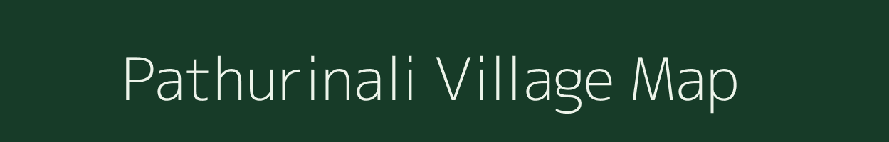 Pathurinali village map in Odisha
