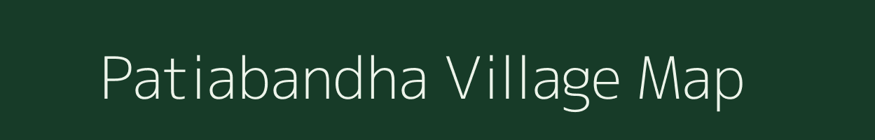 Patiabandha village map in Assam