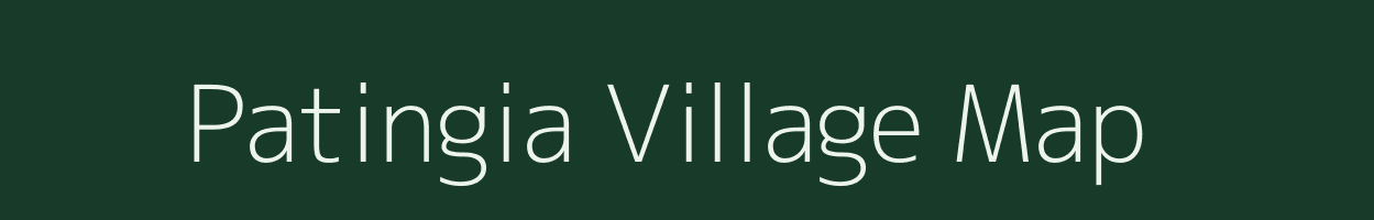 Patingia village map in Odisha