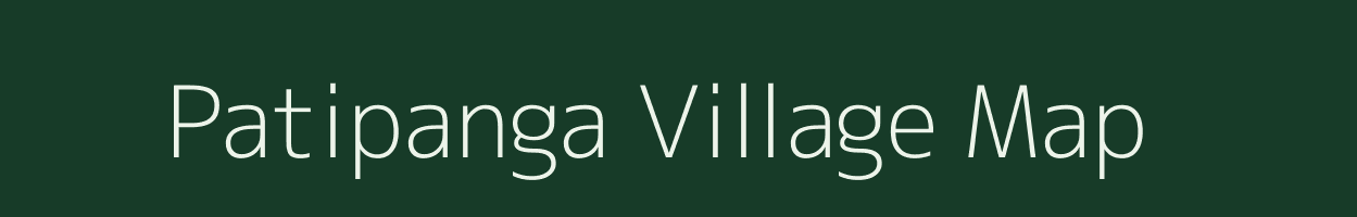 Patipanga village map in Odisha