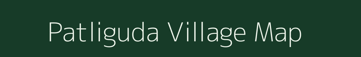 Patliguda village map in Chhattisgarh