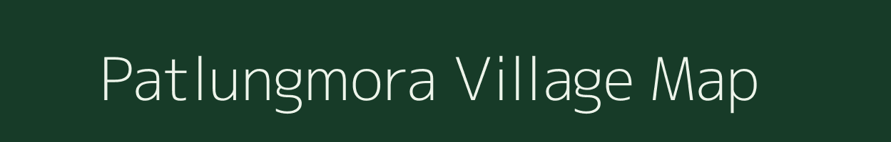 Patlungmora village map in Assam