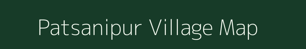 Patsanipur village map in Odisha