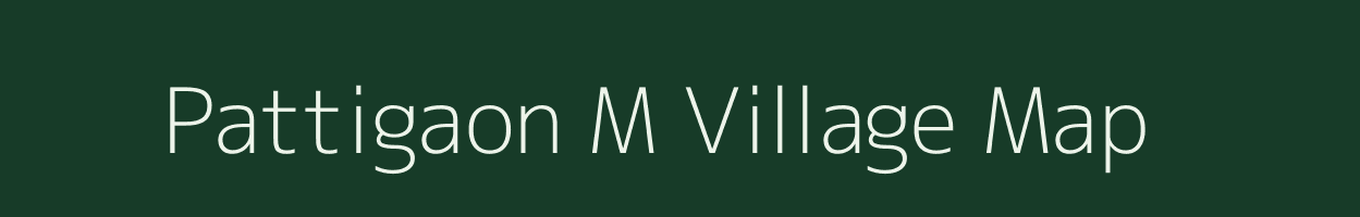 Pattigaon M village map in Maharashtra