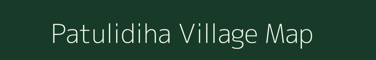 Patulidiha village map in Odisha