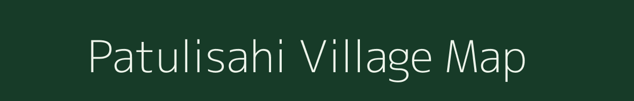 Patulisahi village map in Odisha