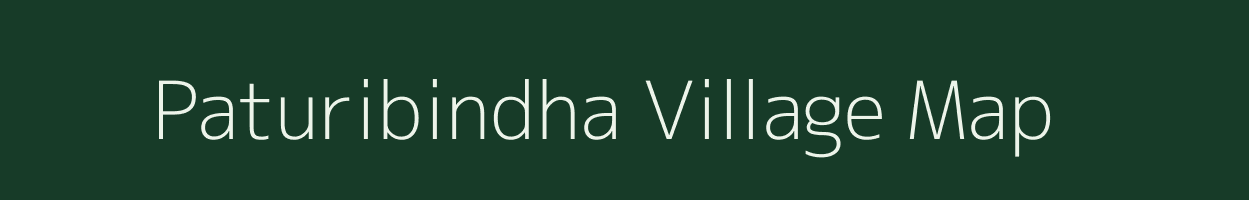 Paturibindha village map in Odisha