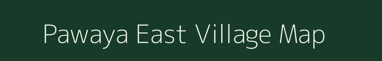 Pawaya East village map in Madhya Pradesh