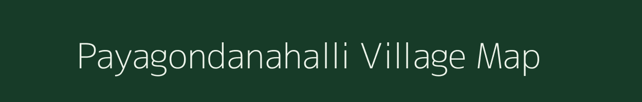 Payagondanahalli village map in Karnataka