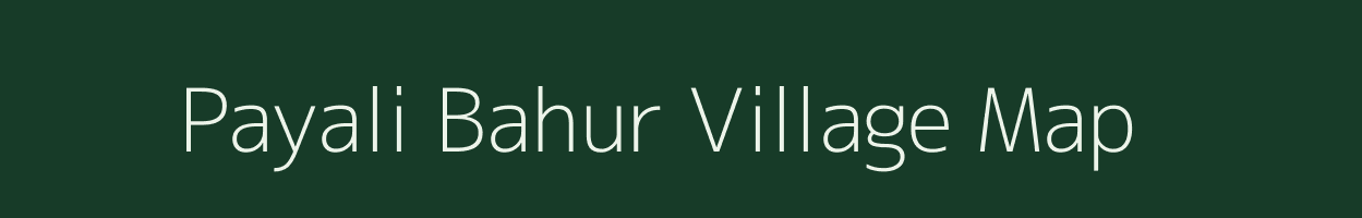 Payali Bahur village map in Madhya Pradesh