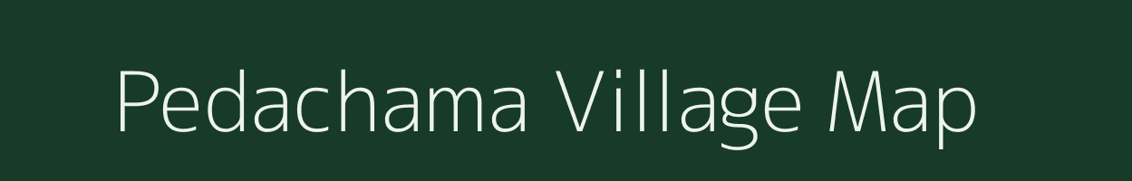 Pedachama village map in Andhra Pradesh