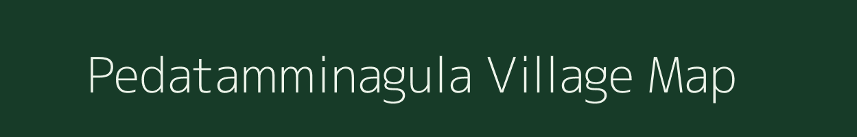 Pedatamminagula village map in Andhra Pradesh