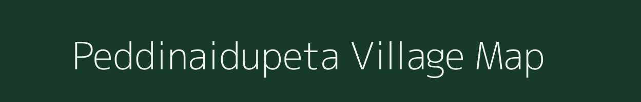 Peddinaidupeta village map in Andhra Pradesh