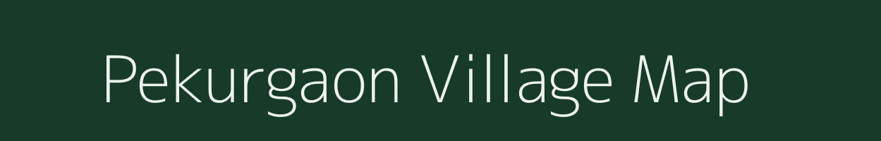 Pekurgaon village map in Assam