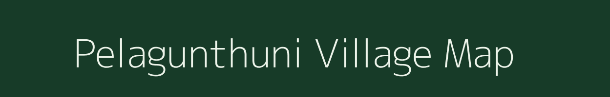Pelagunthuni village map in Odisha