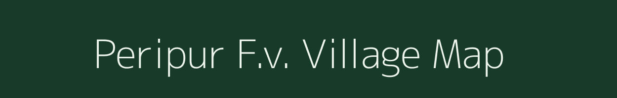 Peripur F.v. village map in Assam