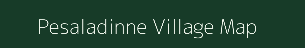 Pesaladinne village map in Andhra Pradesh