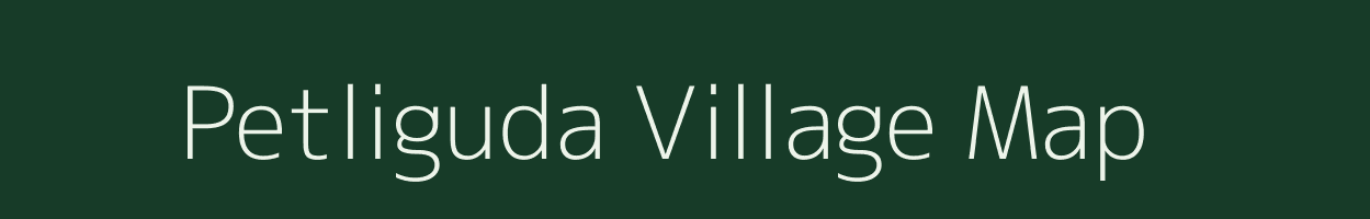 Petliguda village map in Odisha