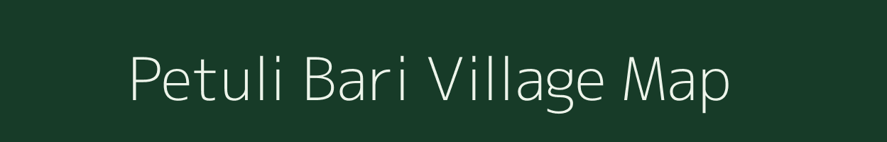 Petuli Bari village map in Assam