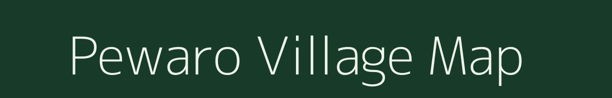 Pewaro village map in Chhattisgarh