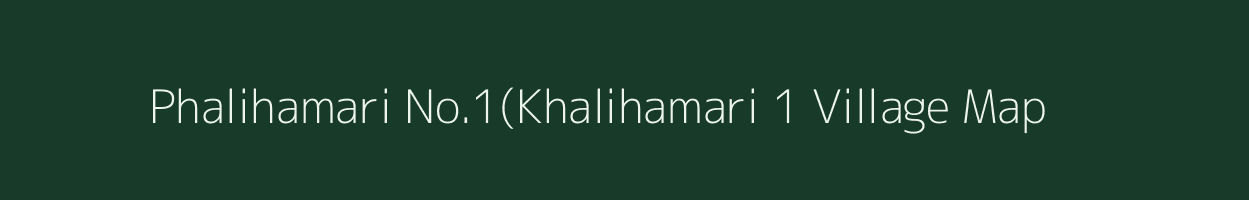 Phalihamari No.1(Khalihamari 1 village map in Assam