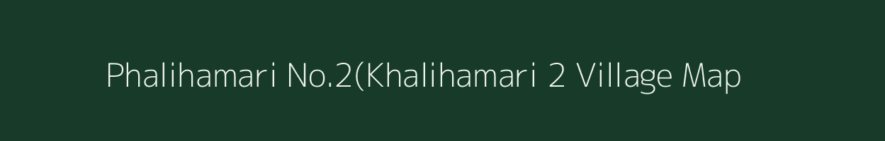 Phalihamari No.2(Khalihamari 2 village map in Assam