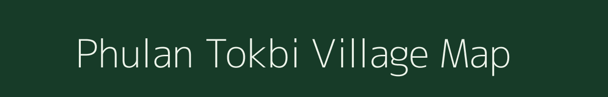 Phulan Tokbi village map in Assam