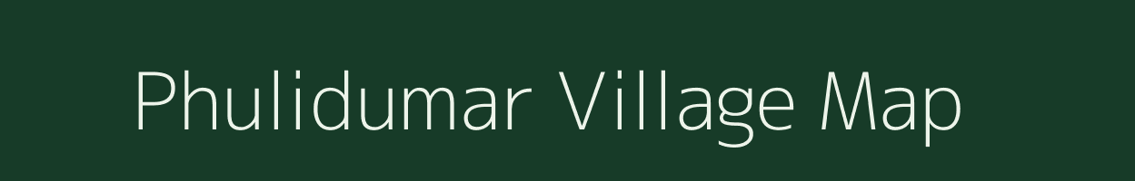 Phulidumar village map in Chhattisgarh