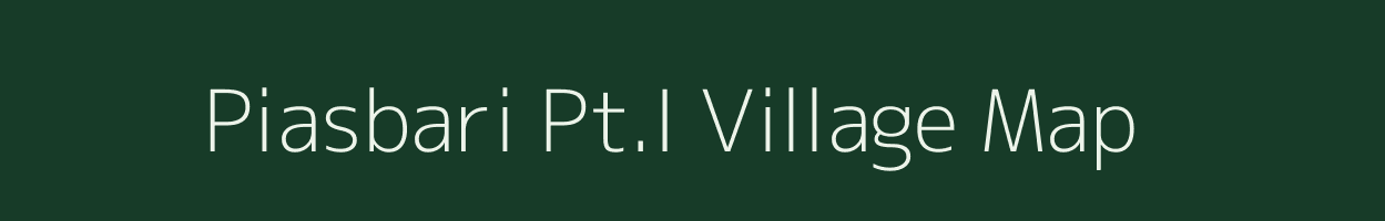 Piasbari Pt.I village map in Assam