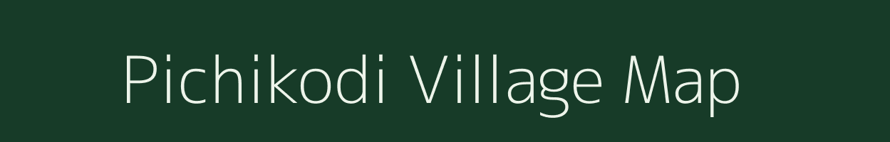 Pichikodi village map in Odisha