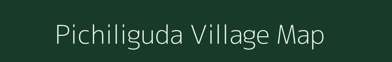 Pichiliguda village map in Odisha