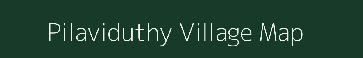 Pilaviduthy village map in Tamil Nadu
