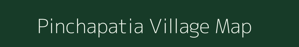 Pinchapatia village map in Odisha