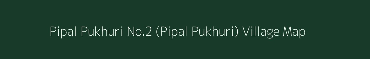 Pipal Pukhuri No.2 (Pipal Pukhuri) village map in Assam