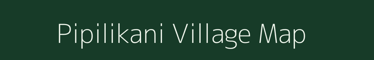 Pipilikani village map in Odisha