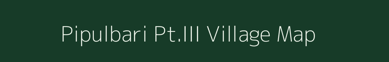 Pipulbari Pt.III village map in Assam