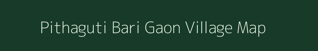 Pithaguti Bari Gaon village map in Assam