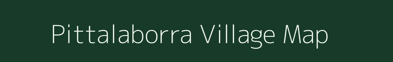 Pittalaborra village map in Andhra Pradesh