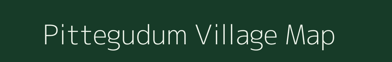 Pittegudum village map in Chhattisgarh