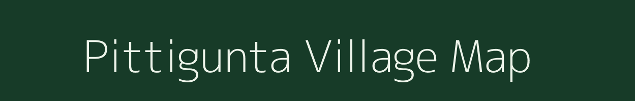 Pittigunta village map in Andhra Pradesh