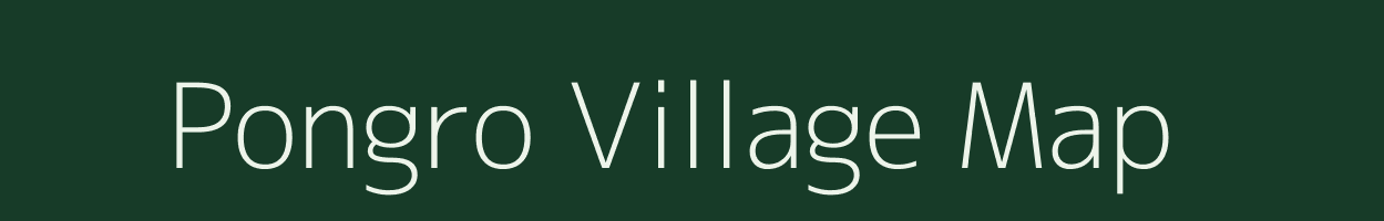 Pongro village map in Chhattisgarh