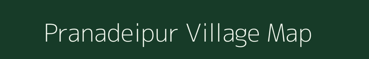 Pranadeipur village map in Odisha