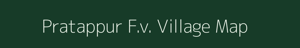 Pratappur F.v. village map in Assam