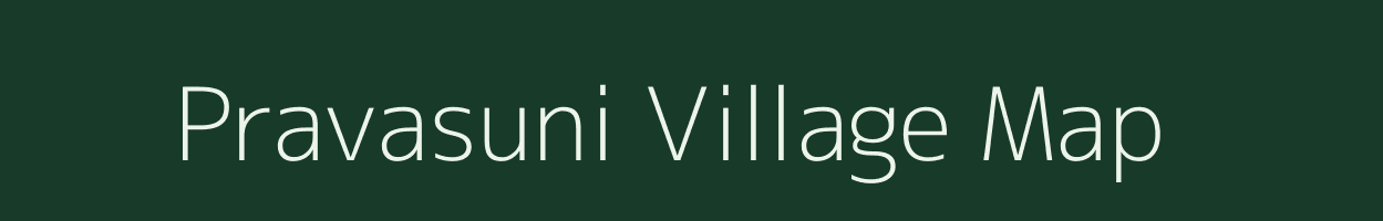 Pravasuni village map in Odisha